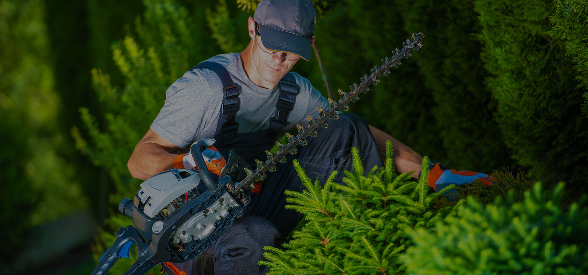 The Gardening Landscaping